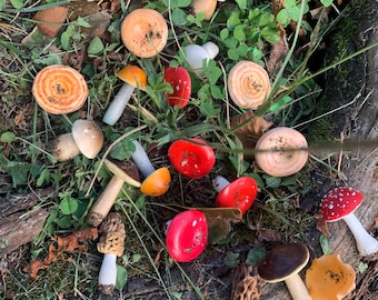Funghi in miniatura in argilla polimerica: decorazione per terrario da giardino delle fate