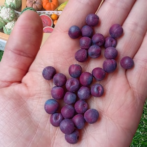 Pu&ograve; includere: Una collezione di bacche in miniatura di colore viola con una consistenza opaca e polverosa. Questi piccoli oggetti rotondi a forma di frutto presentano profonde tonalit&agrave; viola e magenta con sottili sfumature blu, simili a minuscole prugne.