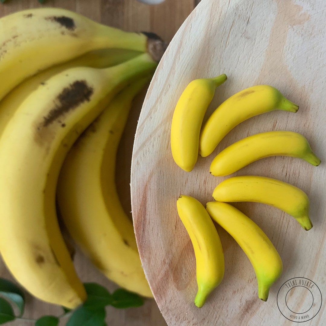 Miniatura de plátano. juguetes educativos. Juguetes Montessori Etsy