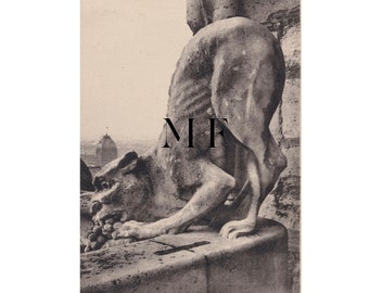 Notre Dame de Paris, Vintage postcard, Paris, Chimera, Gargoyle