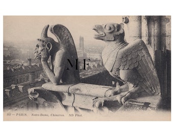 Notre Dame de Paris, Vintage postcard, Paris, Chimera, Gargoyle
