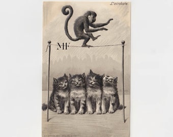 Vintage ansichtkaart, de acrobaat, reliëfkaart, fantasiekaart, gehumaniseerde aap, gehumaniseerde kat
