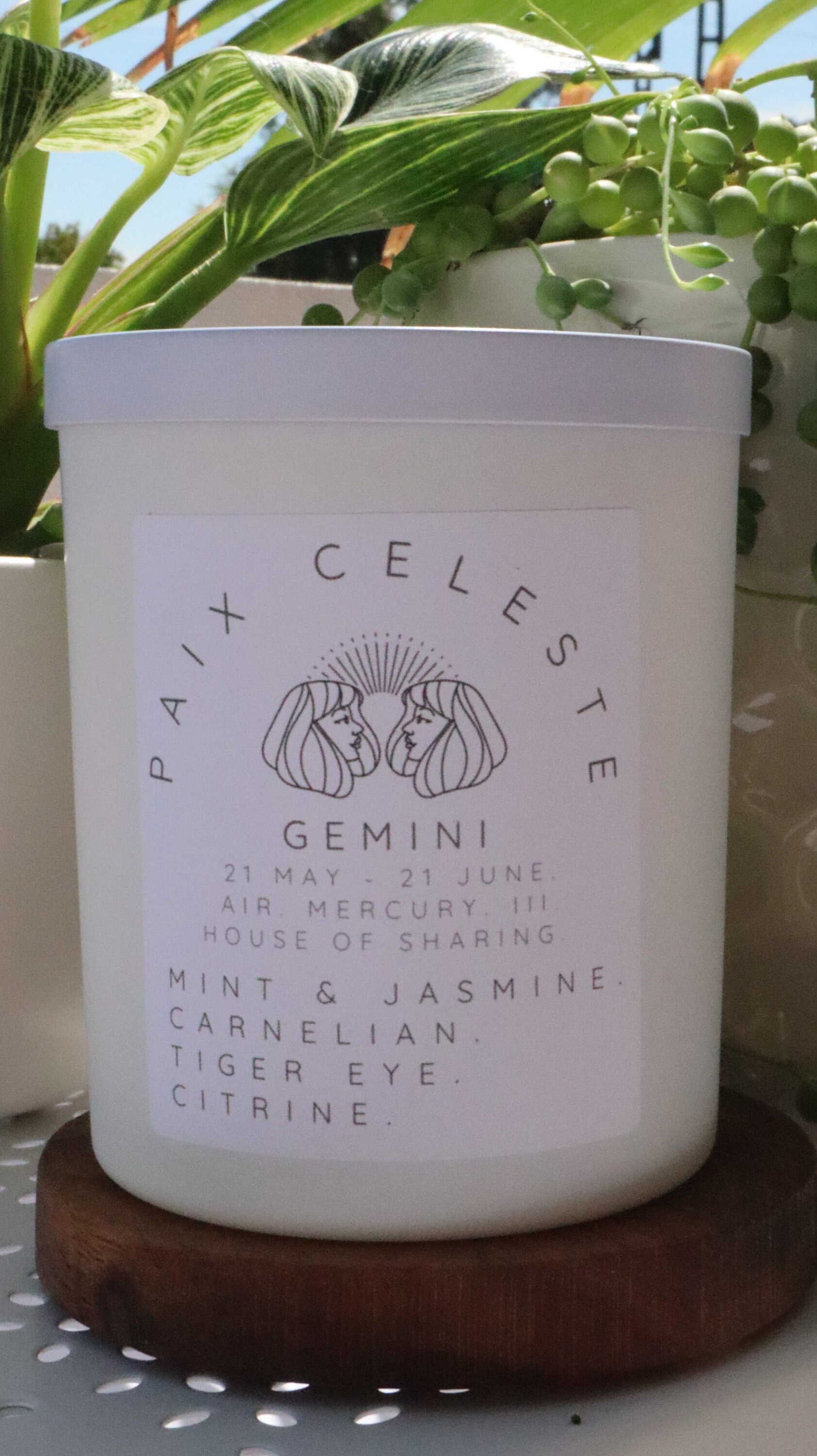 Gemini Zodiac Sign Candle Gemini witchy candle Crystal Etsy