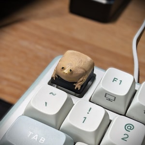 May include: A custom mechanical keyboard keycap shaped like a beige, round frog with small black eyes and textured skin, installed on a white keyboard next to the F1 key and the tilde key, replacing the standard escape key position.