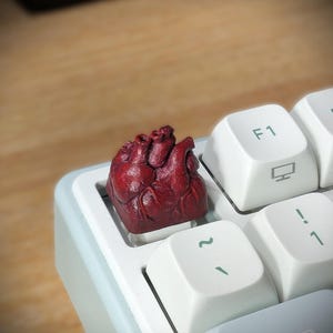 May include: A custom keycap shaped like a realistic human heart, in a deep red color, sits on a white and light blue mechanical keyboard. The keycap replaces the original key. The keyboard keys have white lettering and symbols.