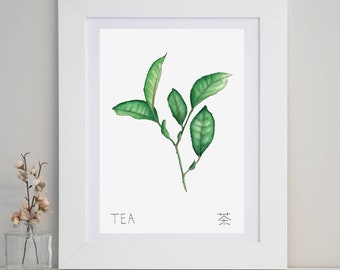 Tea Plant Original Art Print - Matcha Series - Illustration Japanese Food Watercolour Green Zen Tea Ceremony Botanical