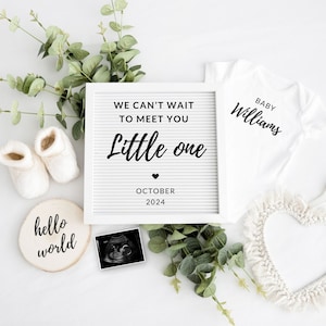 Digital Pregnancy Announcement / Baby Reveal for Social Media / Baby Announcement Digital Download / Personalized Baby Reveal