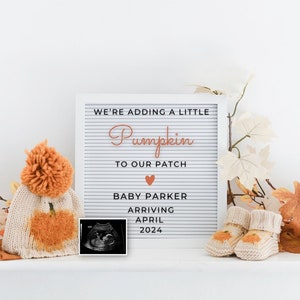 Autumn/Fall Digital Pregnancy Announcement Baby Announcement Social Media Reveal Gender Neutral Pregnancy Announce Pumpkin pregnancy reveal