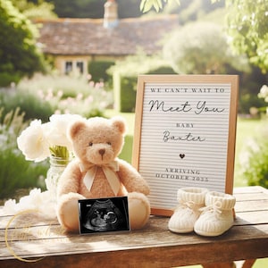 Digital Pregnancy Announcement, Baby Announcement, Baby Reveal, Social Media Reveal, Editable Template