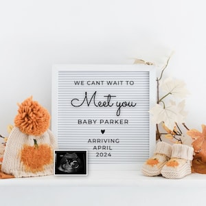 Autumn/Fall Digital Pregnancy Announcement Baby Announcement Social Media Reveal Gender Neutral Pregnancy Announce Pumpkin pregnancy reveal