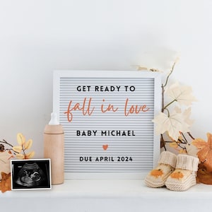 Autumn/Fall Digital Pregnancy Announcement Baby Announcement Social Media Reveal Gender Neutral Pregnancy Announce Pumpkin pregnancy reveal