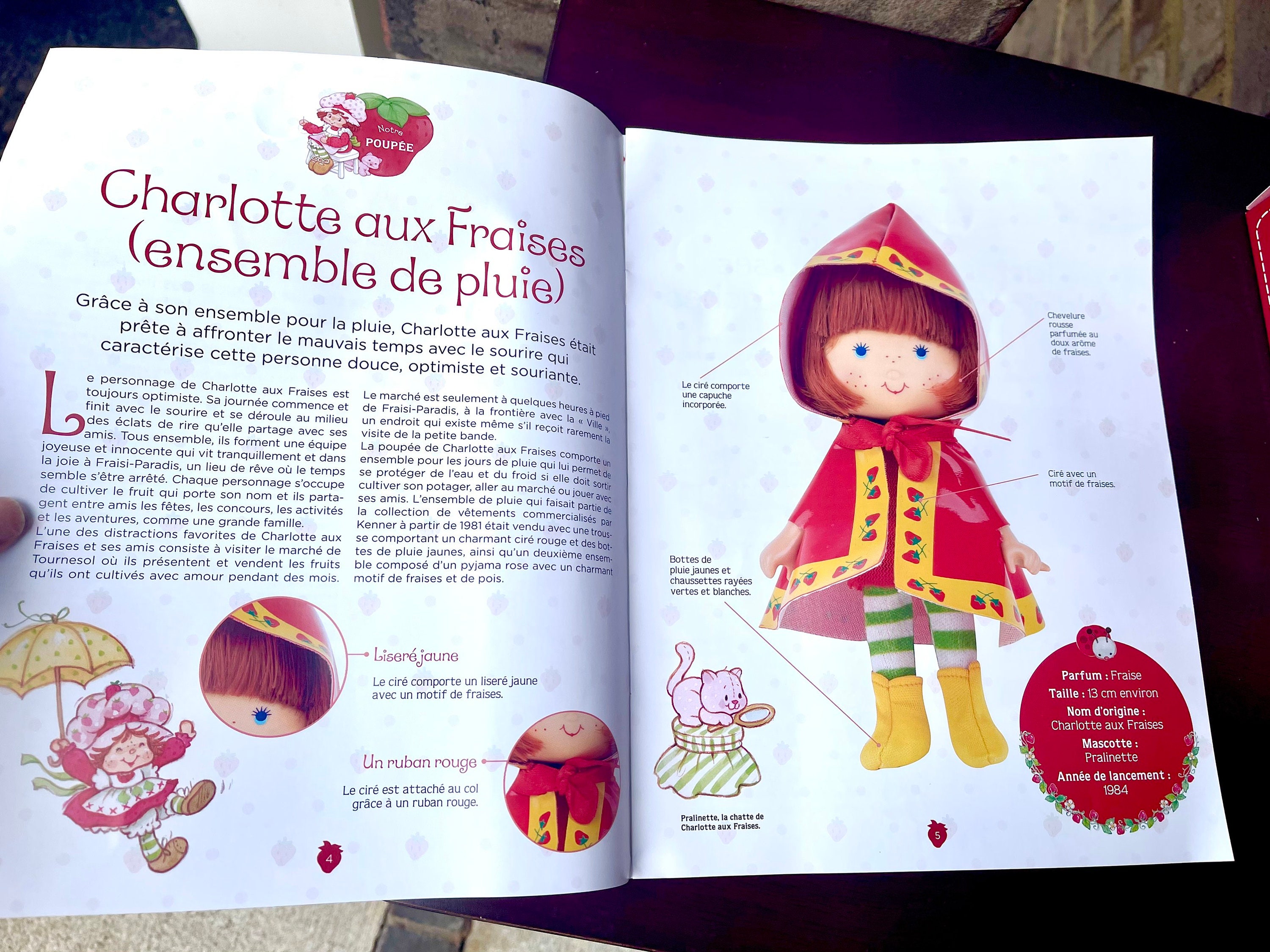 Poupée Charlotte Aux Fraises N°18 Ensemble De Pluie Et Livret Fascicule Collection Altaya