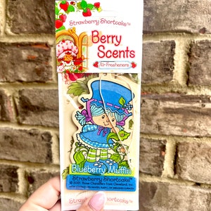 RARE: New / Sealed - Strawberry Shortcake “blueberry Muffin” Berry ...