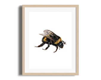 30x40cm / Art / Illustration / Poster / Print / Giclee / Atchival / Hahnemühle