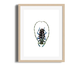 30x40cm / Poster / Print / Illustration / Wall decor / Art / Insect /