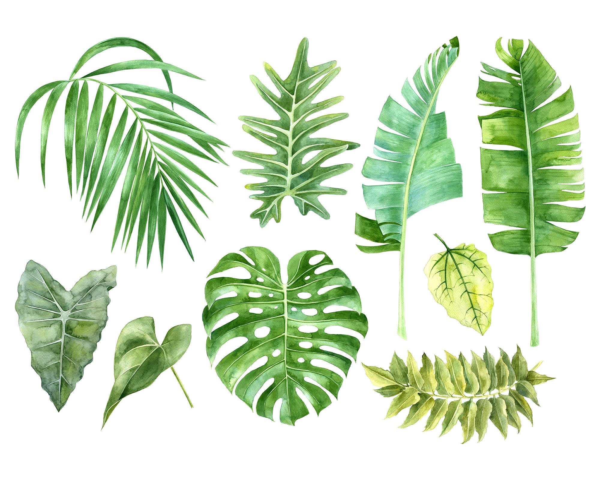 Tropical clip art Tropical green leaves watercolor clip art | Etsy
