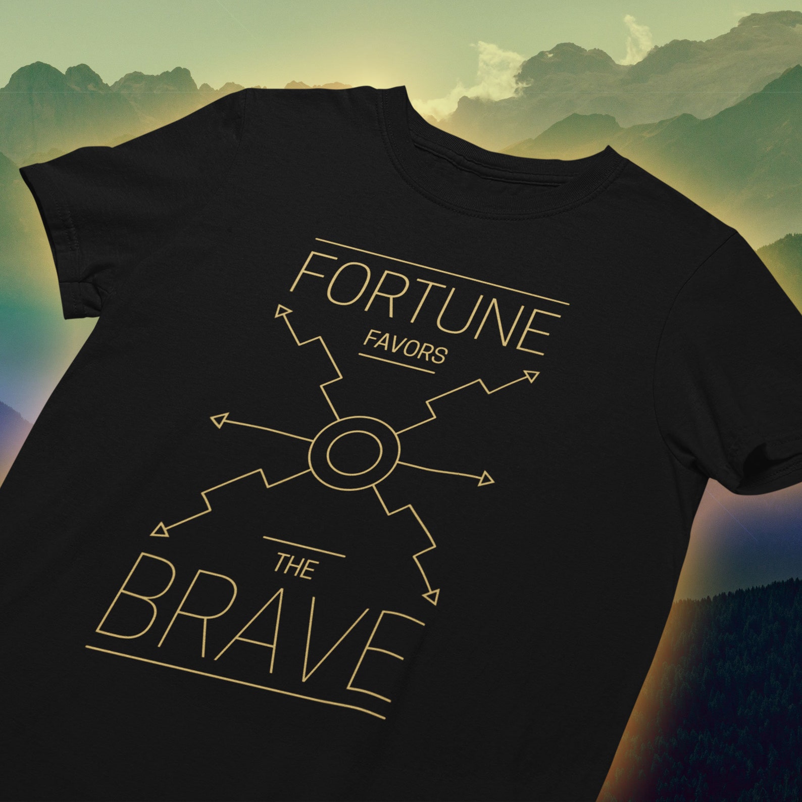 fortune favors the brave latin fortune favors the brave latin