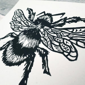 Puede incluir: Un grabado en lin&oacute;leo en blanco y negro sobre papel que muestra un abejorro detallado. El insecto est&aacute; representado con tinta negra de alto contraste, mostrando intrincados patrones geom&eacute;tricos en las alas y l&iacute;neas texturizadas y peludas.