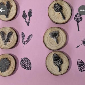 Seeds Ink Stamps, Pine Cone, Sycamore, Dandelion, Acorn, Poppy, Rosehip Printing Block, Hand Carved Rubber Stamp, DIY Eco Wrapping Paper image 13
