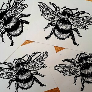 Puede incluir: Cuatro tarjetas rectangulares blancas con una ilustraci&oacute;n en tinta negra de un abejorro. El insecto tiene un cuerpo peludo con rayas distintivas y alas decoradas con intrincados patrones geom&eacute;tricos repetitivos y l&iacute;neas finas.