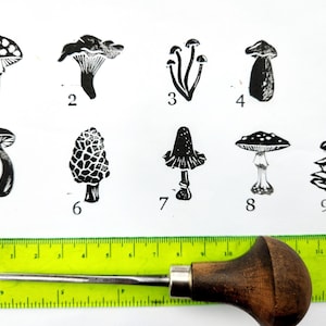May include: Nine black and white mushroom illustrations numbered 1-9. A green ruler with black markings and a wooden-handled carving tool are also present. The ruler measures approximately 6 inches in length.