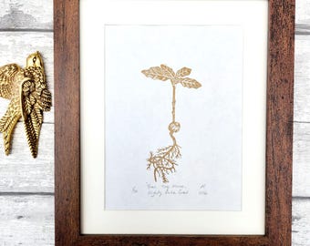 Puede incluir: Una impresión enmarcada que presenta una ilustración dorada de una planta brotando con raíces y hojas. El texto debajo de la planta dice "From tiny acorns, Mighty Oaks Grow". La obra está en un marco de madera marrón oscuro con un paspartú blanco.