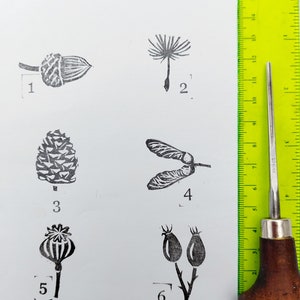 Seeds Ink Stamps, Pine Cone, Sycamore, Dandelion, Acorn, Poppy, Rosehip Printing Block, Hand Carved Rubber Stamp, DIY Eco Wrapping Paper image 9