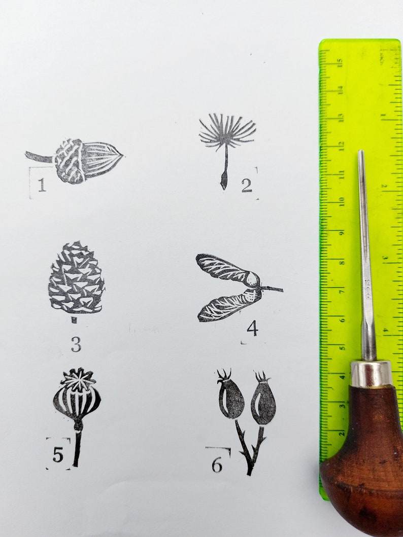 Seeds Ink Stamps, Pine Cone, Sycamore, Dandelion, Acorn, Poppy, Rosehip Printing Block, Hand Carved Rubber Stamp, DIY Eco Wrapping Paper image 9