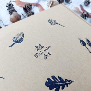 May include: A close-up of a kraft paper box with botanical illustrations in dark blue ink. The box features images of acorns, leaves, and seed pods. The text "Periwinkle Ink" is also printed on the box.