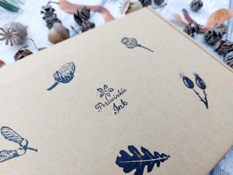 May include: A close-up of a kraft paper box with botanical illustrations in dark blue ink. The box features images of acorns, leaves, and seed pods. The text "Periwinkle Ink" is also printed on the box.