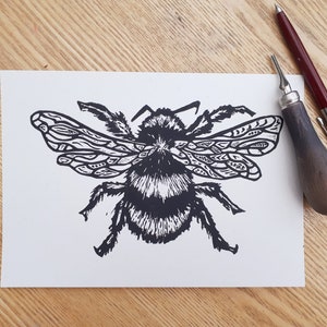 Puede incluir: Una impresi&oacute;n en tinta negra de un abejorro sobre papel rectangular blanco. La abeja presenta alas con patrones detallados y un cuerpo peludo. Junto al papel hay una herramienta de grabado en lin&oacute;leo con mango de madera y un bol&iacute;grafo fino.