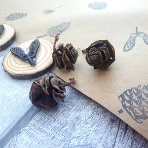 May include: A collection of natural pine cones and wooden stamps with botanical designs. The stamps feature images of pine cones, seeds, and other natural elements. The background includes stamped images on brown paper and a wooden surface.