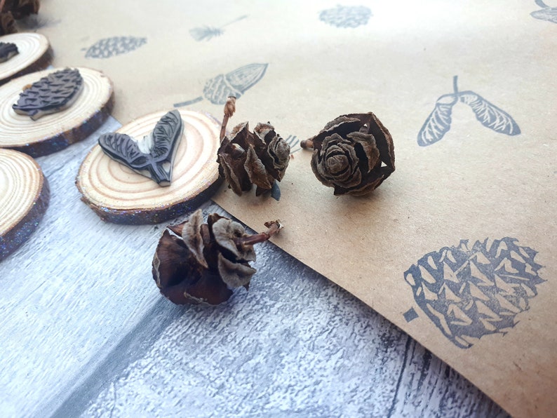 May include: A collection of natural pine cones and wooden stamps with botanical designs. The stamps feature images of pine cones, seeds, and other natural elements. The background includes stamped images on brown paper and a wooden surface.