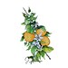 Printable Orange Blossom Botanical Art, PDF, Digital Download - Etsy