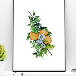 Printable Orange Blossom Botanical Art, PDF, Digital Download - Etsy