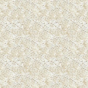 Northcott - Wilderness - Naturescapes - Close Up Tree Bark - Fabric by the Yard - DP27793-12