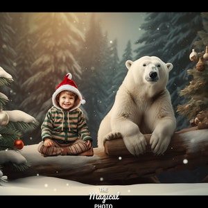 Christmas, Polar Bear Digital Background, Digital Backdrop, for Composite Photoshop, Kids, White Bear, Winter, Photography, Christmas Theme.