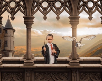 Wizard Digital Background, Digital Backdrop, for Composite Photoshop, Overlay, Owl, Castle Corridor, Cosplay, Wizarding School theme.