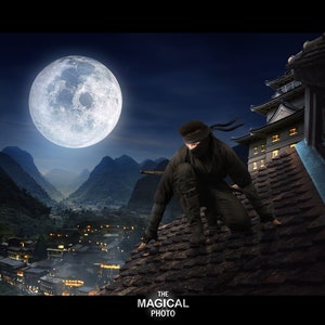Ninja Digital Background, Digital Backdrop, for Composite Photoshop, Photography, Cosplay, Anime, Superhero, Samurai, Japanese, Ninja theme.
