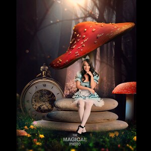 May include: A young woman dressed in a blue and white dress sits on a stack of rocks under a large red mushroom. A vintage pocket watch with Roman numerals is in the foreground. The scene is set in a whimsical forest with a magical feel.
