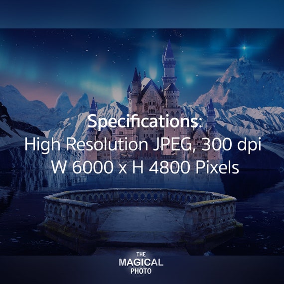 フォトセ ディスプレイ Graves Kawasaki ZX-6R OEM Bodywork Graphics Set - Grayscale 24-25