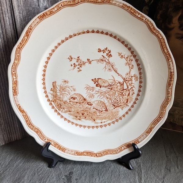 Furnivals Quail dinner plate brown transferware