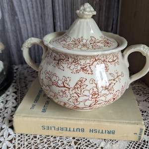 Può includere: Zuccheriera in ceramica color crema con coperchio, decorata con motivi floreali marroni. La zuccheriera ha due manici e poggia su un libro intitolato "British Butterflies". Il coperchio ha un pomello decorativo.