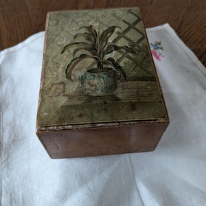 Può includere: Una scatola di legno con un coperchio incernierato. Il coperchio è decorato con un'immagine dipinta di una pianta in vaso con foglie verdi e un vaso blu e bianco. La scatola è appoggiata su un panno bianco.