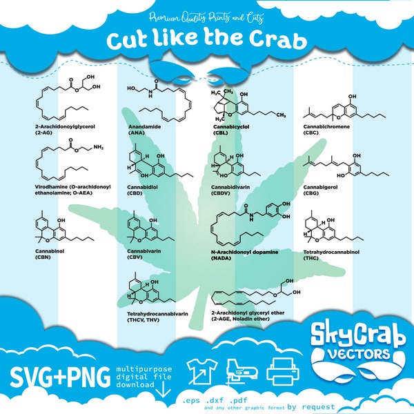 14 Cannabinoids Molecule 2D Structure svg, png, Cannabis, digital vector, decal cricut silhouette cameo shirt mug wall print artwork