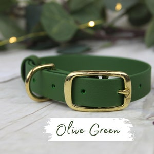 Olive Green Traditional Waterproof Webbing Collar