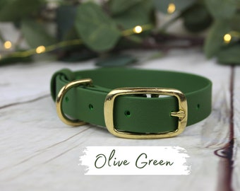 Olive Green Traditional Waterproof Webbing Collar