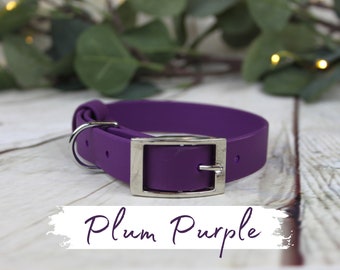 Plum Purple Traditional Waterproof Webbing Collar