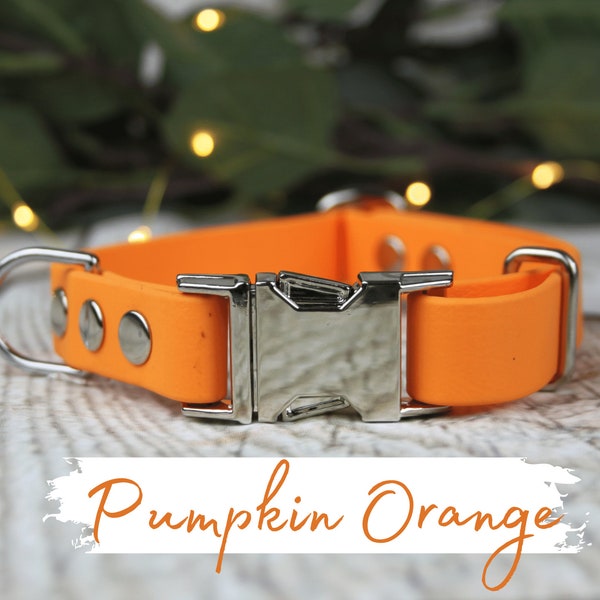 Orange Dog Collar Etsy