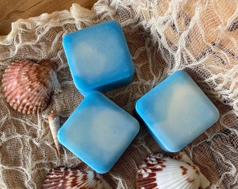 Aqua Blue Spa Handmade Soap, Vegan Moisturizing Scented Soap, Gift for Husband, Gift for Son,